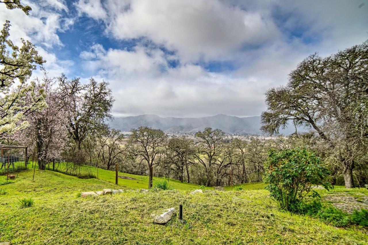 Hilltop Loft Ukiah Vacation Rental! Eksteriør billede