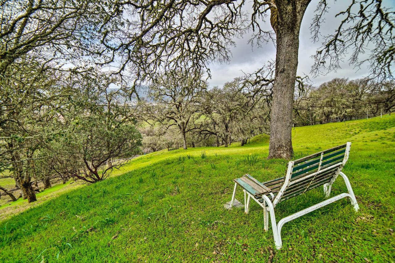 Hilltop Loft Ukiah Vacation Rental! Eksteriør billede