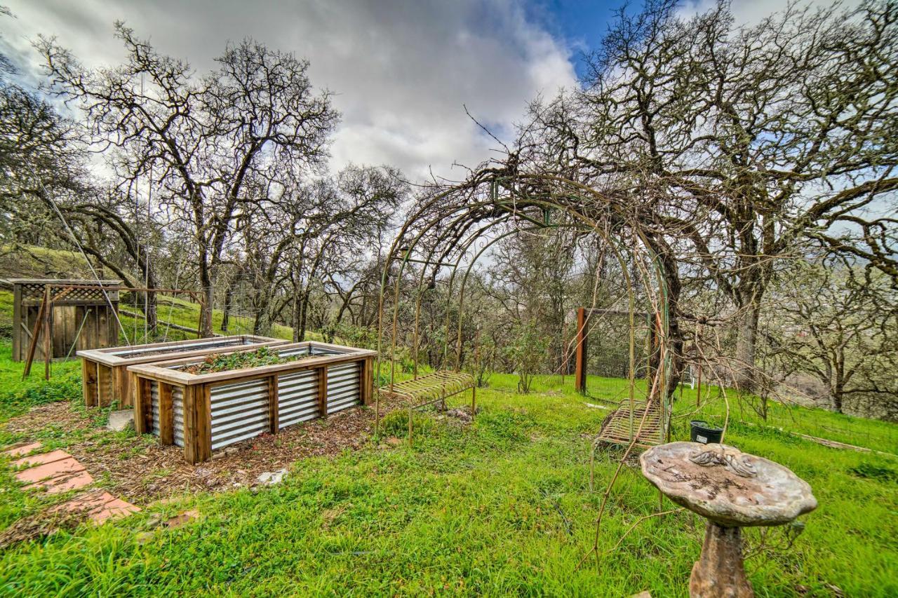 Hilltop Loft Ukiah Vacation Rental! Eksteriør billede